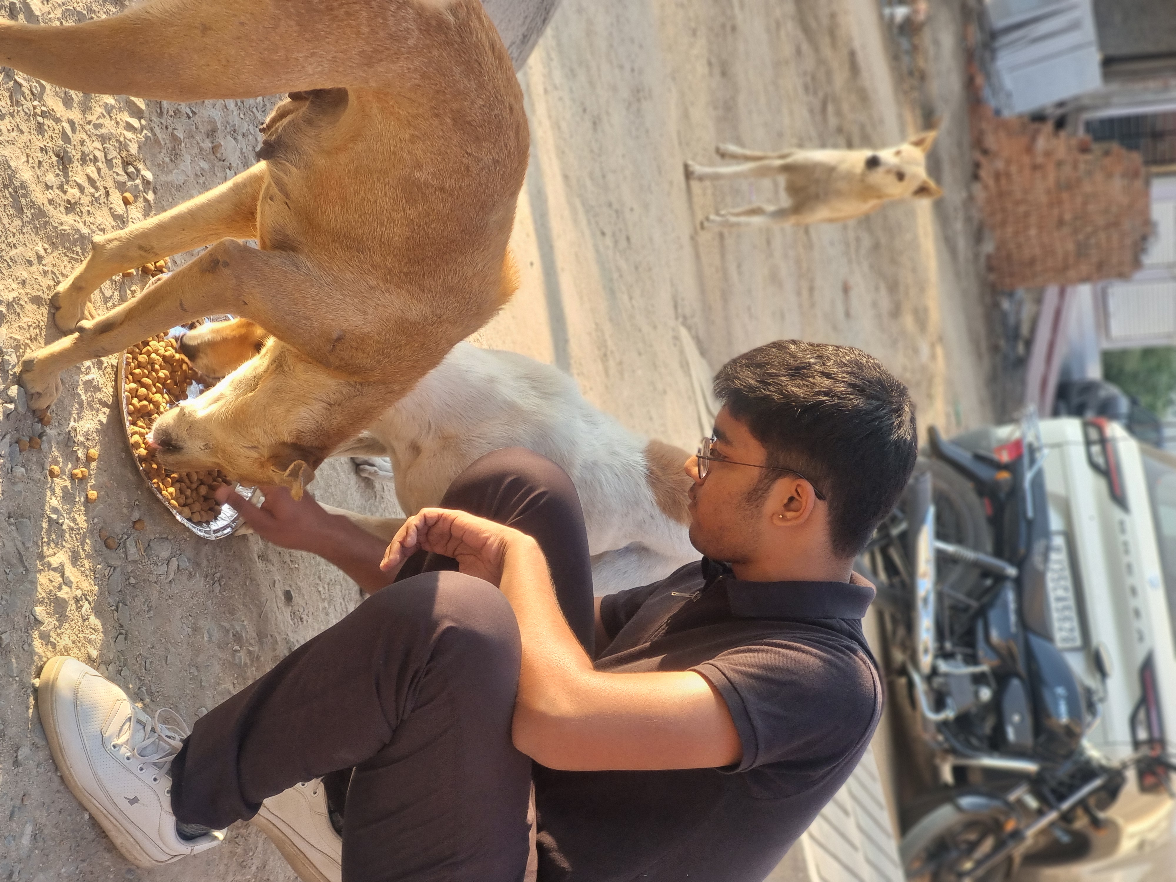 पशु सहायता