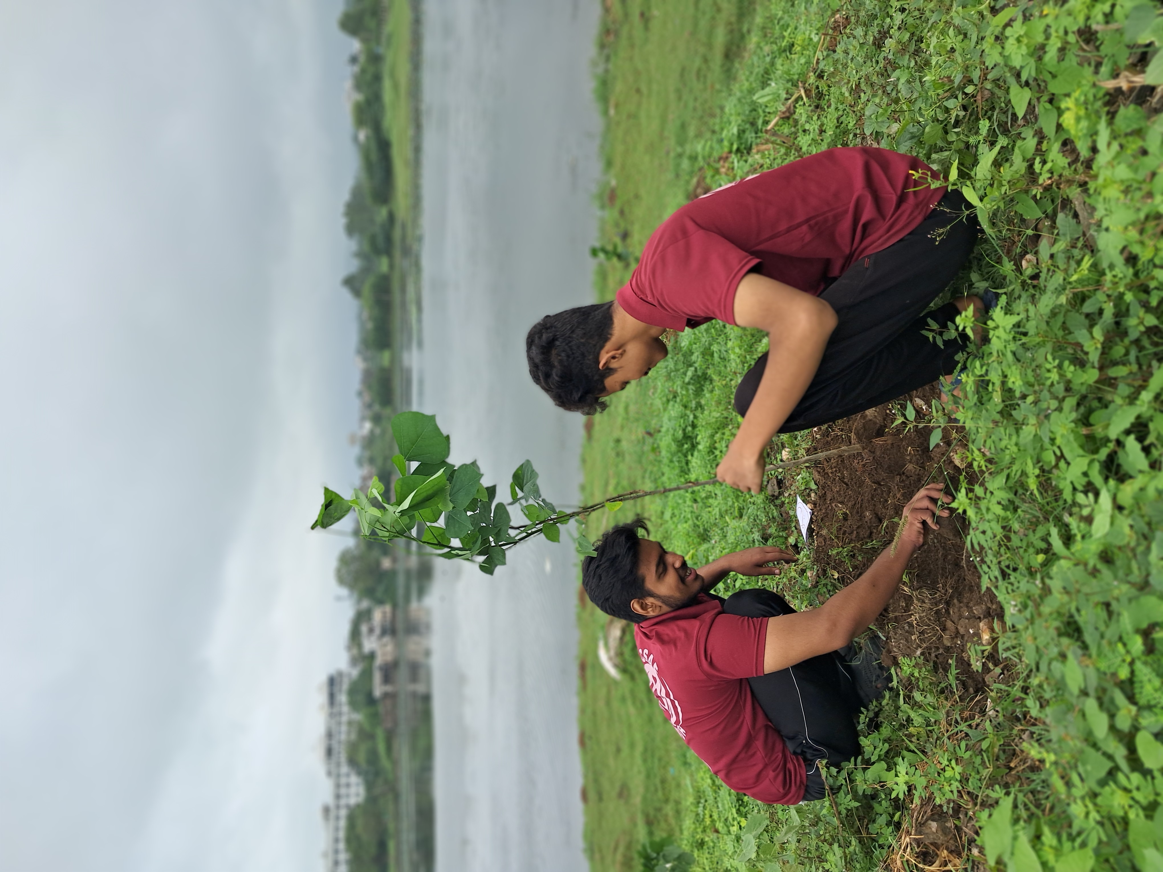 पर्यावरण