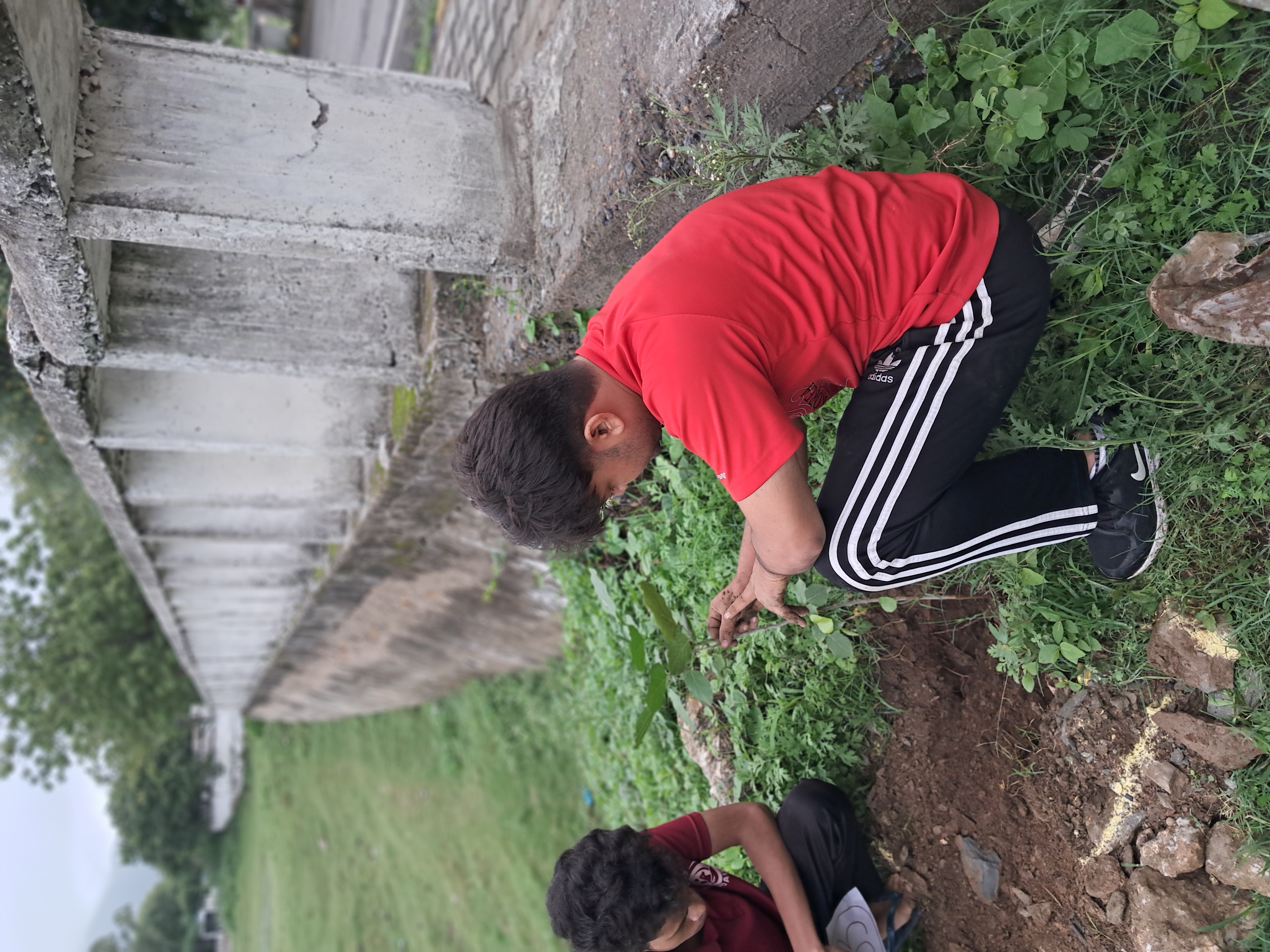 पर्यावरण