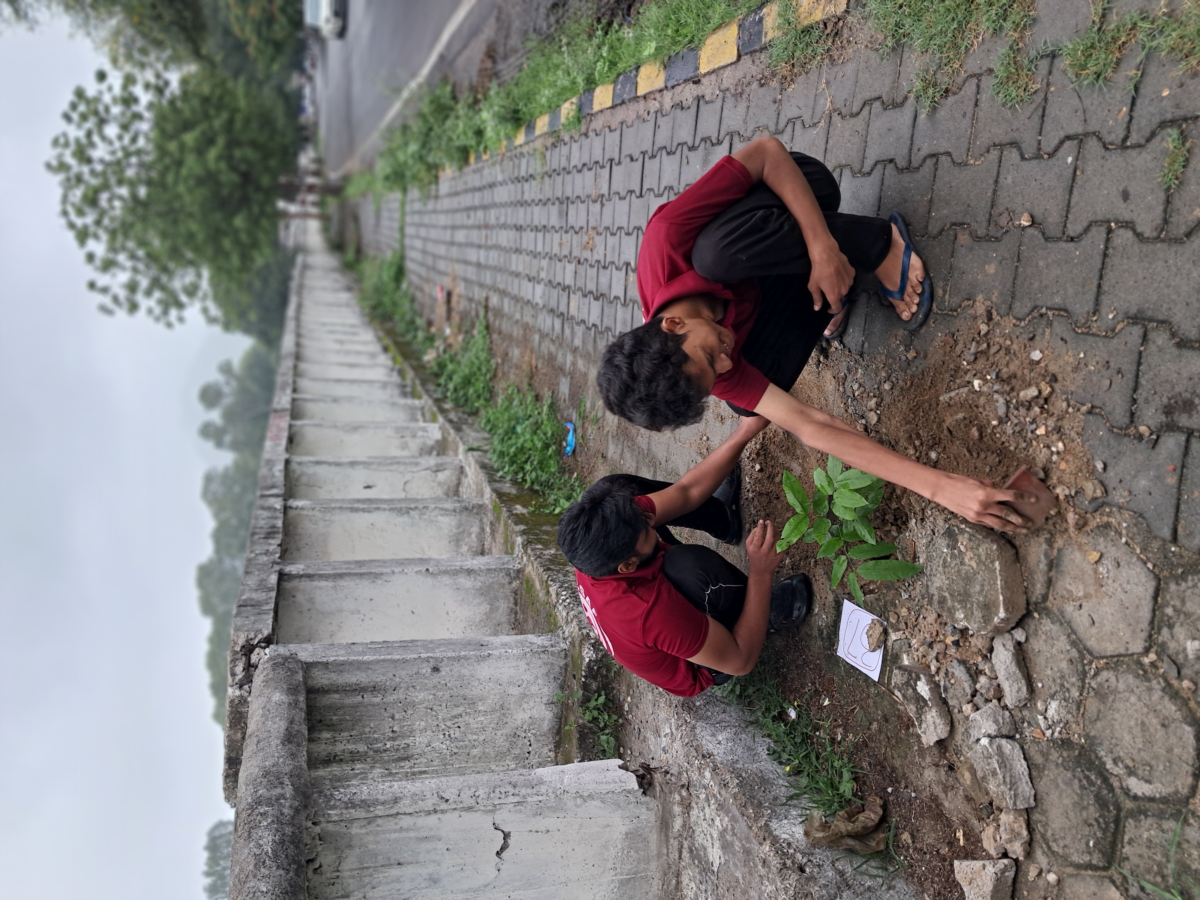 पर्यावरण