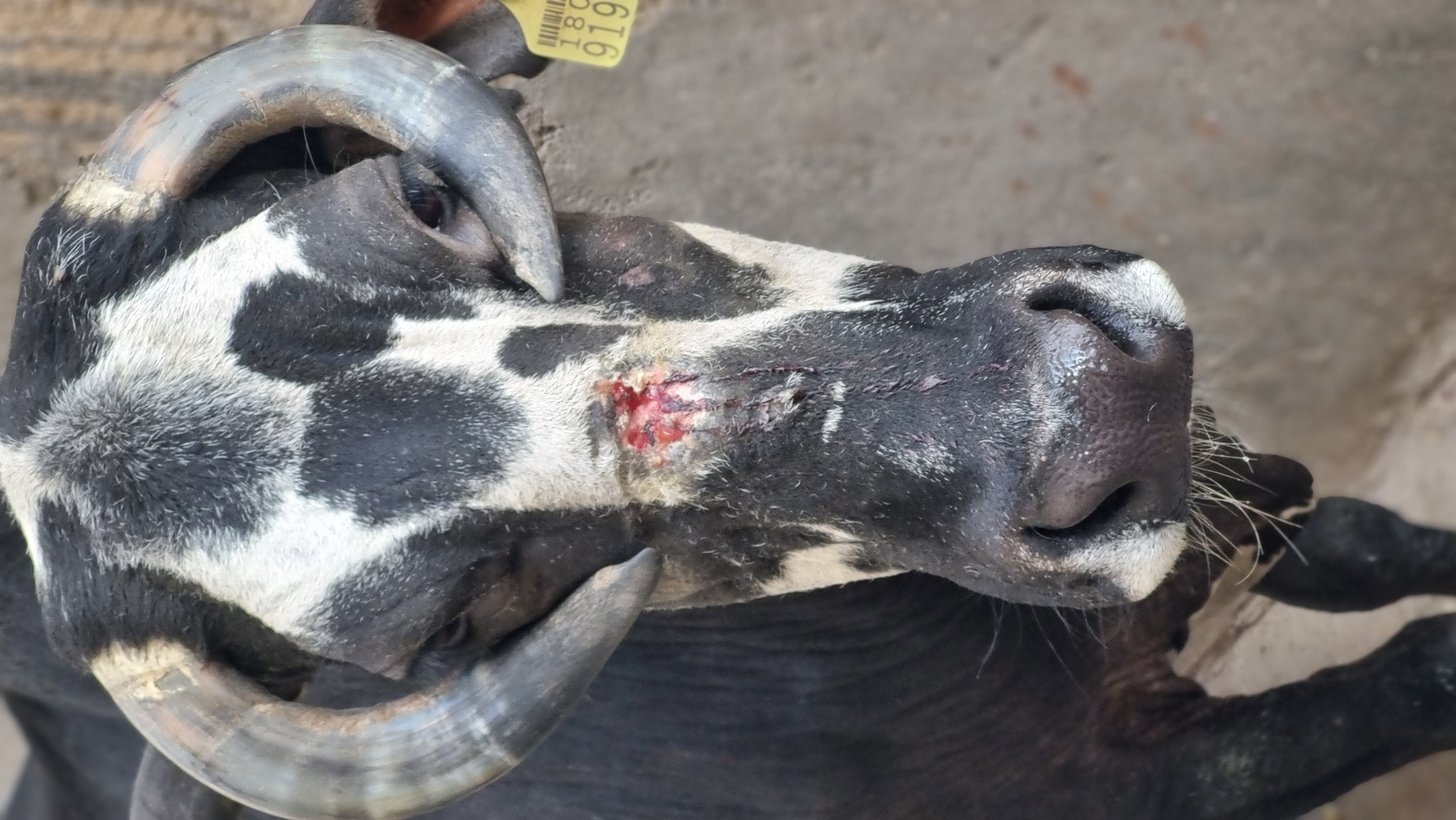 आपात सेवा