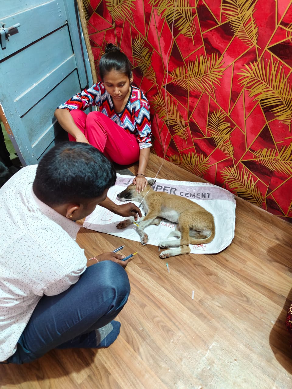 आपात सेवा