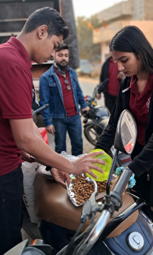 कुत्ता आहार सेवा
