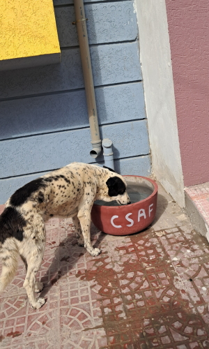 जीव प्यास सेवा